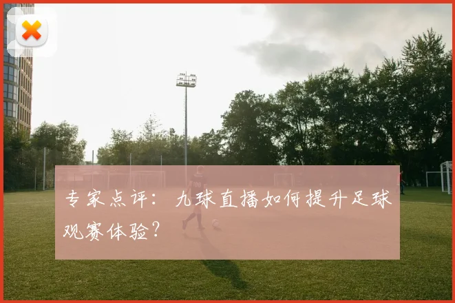 专家点评:九球直播如何提升足球观赛体验?